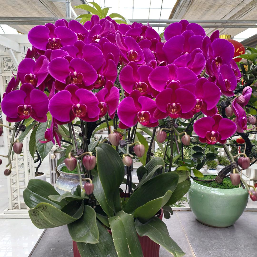 💞💋慧💖💖💖