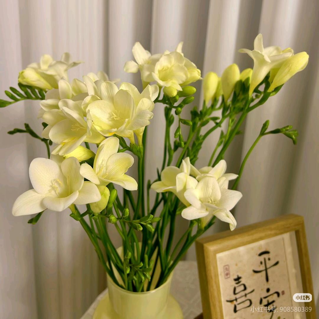 小满