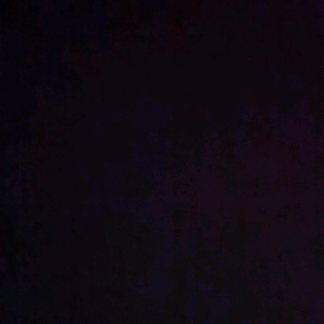Y🛩Y