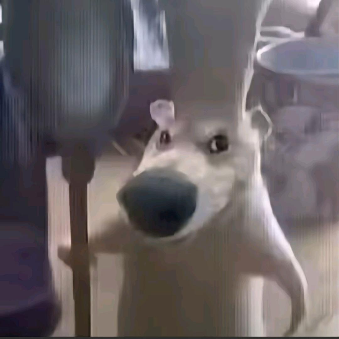 她再也不会回来