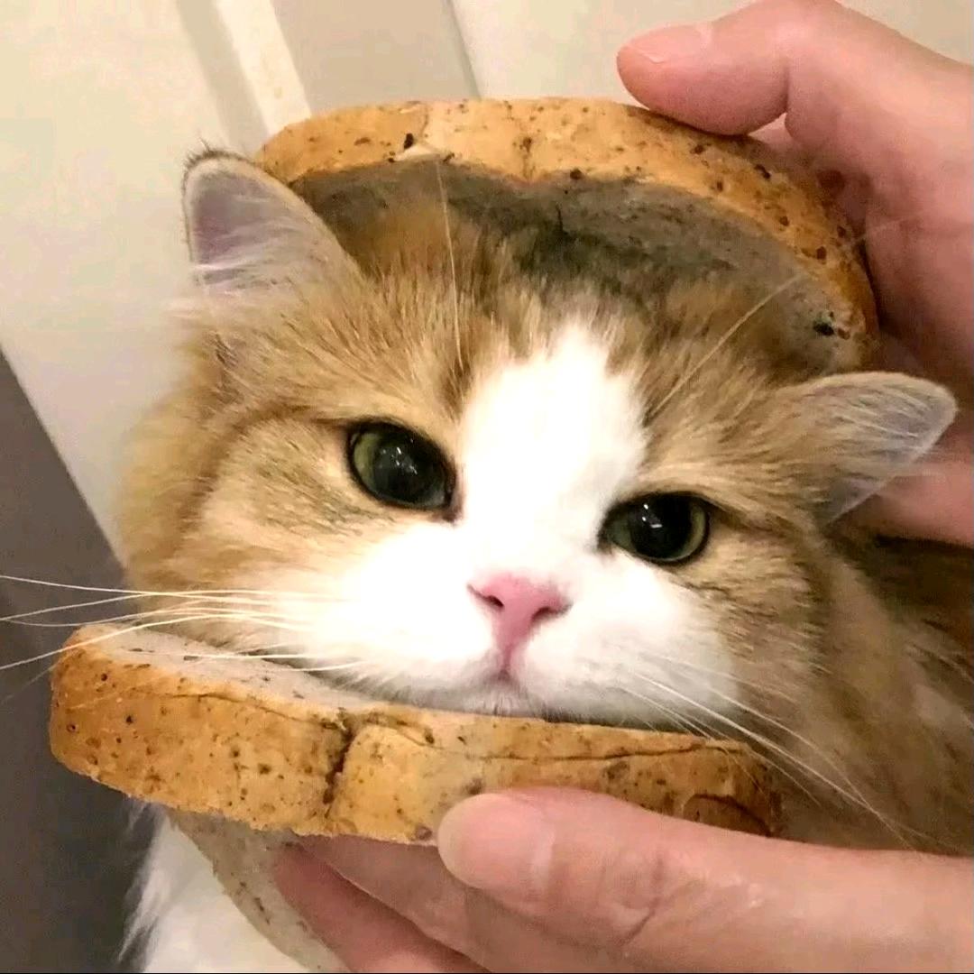 おぁ