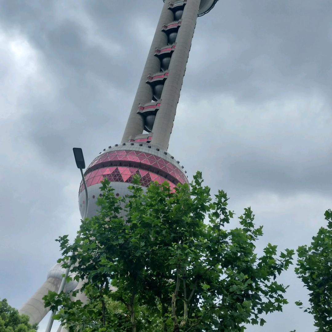会飞的狼