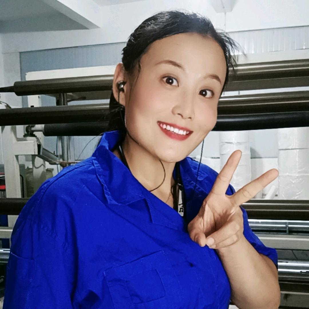 大燕子不飞