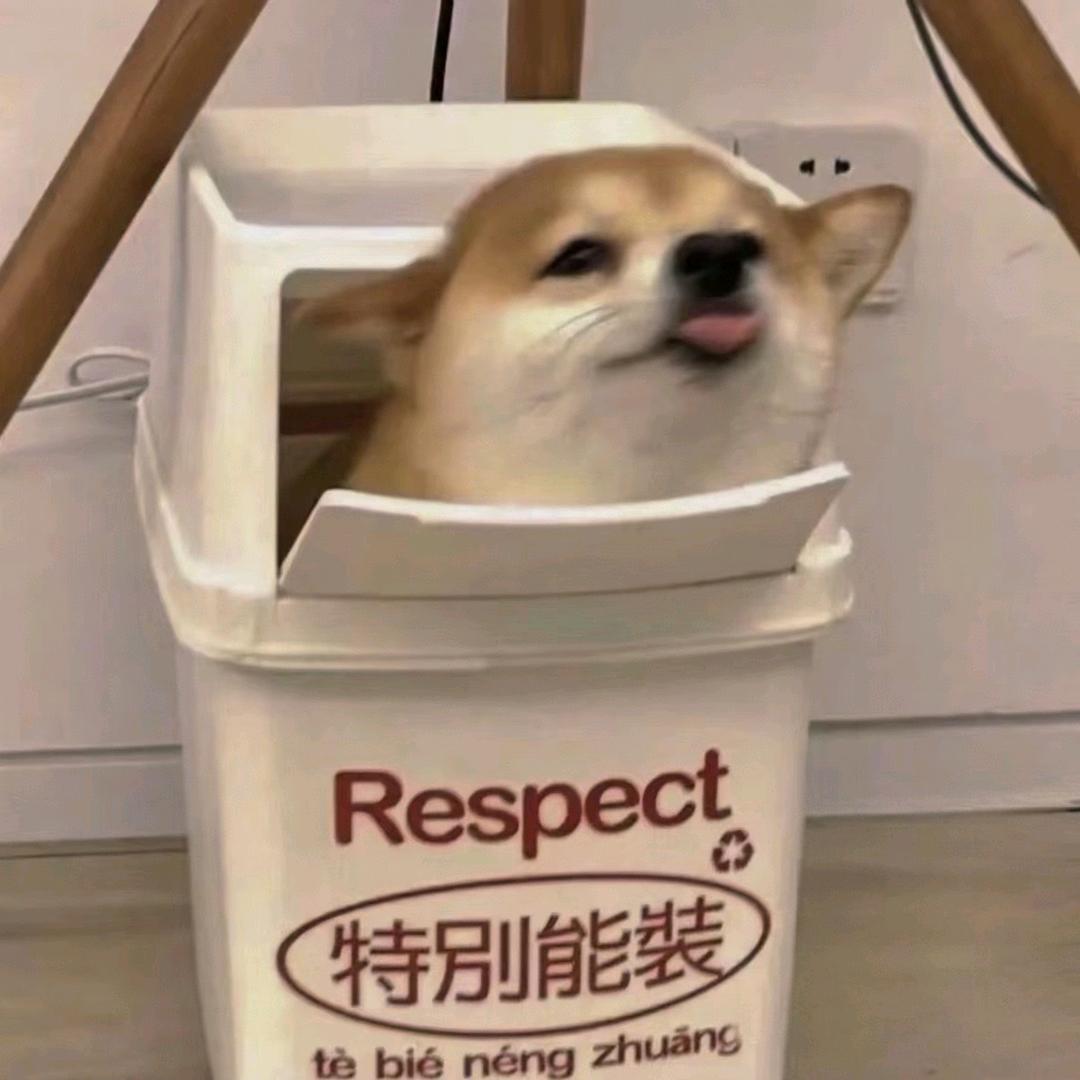 哒哒龙