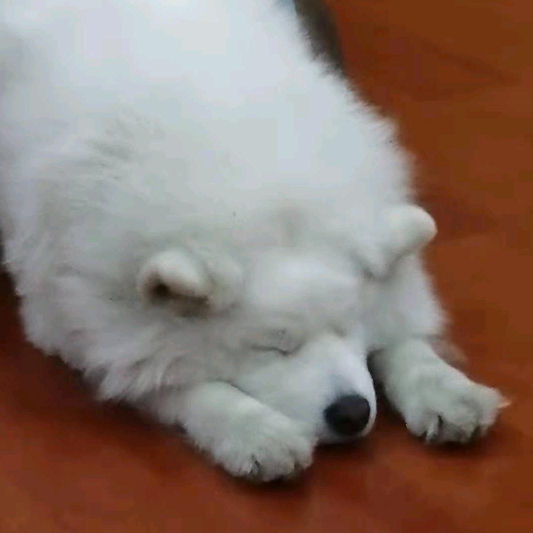 妮妮呀。