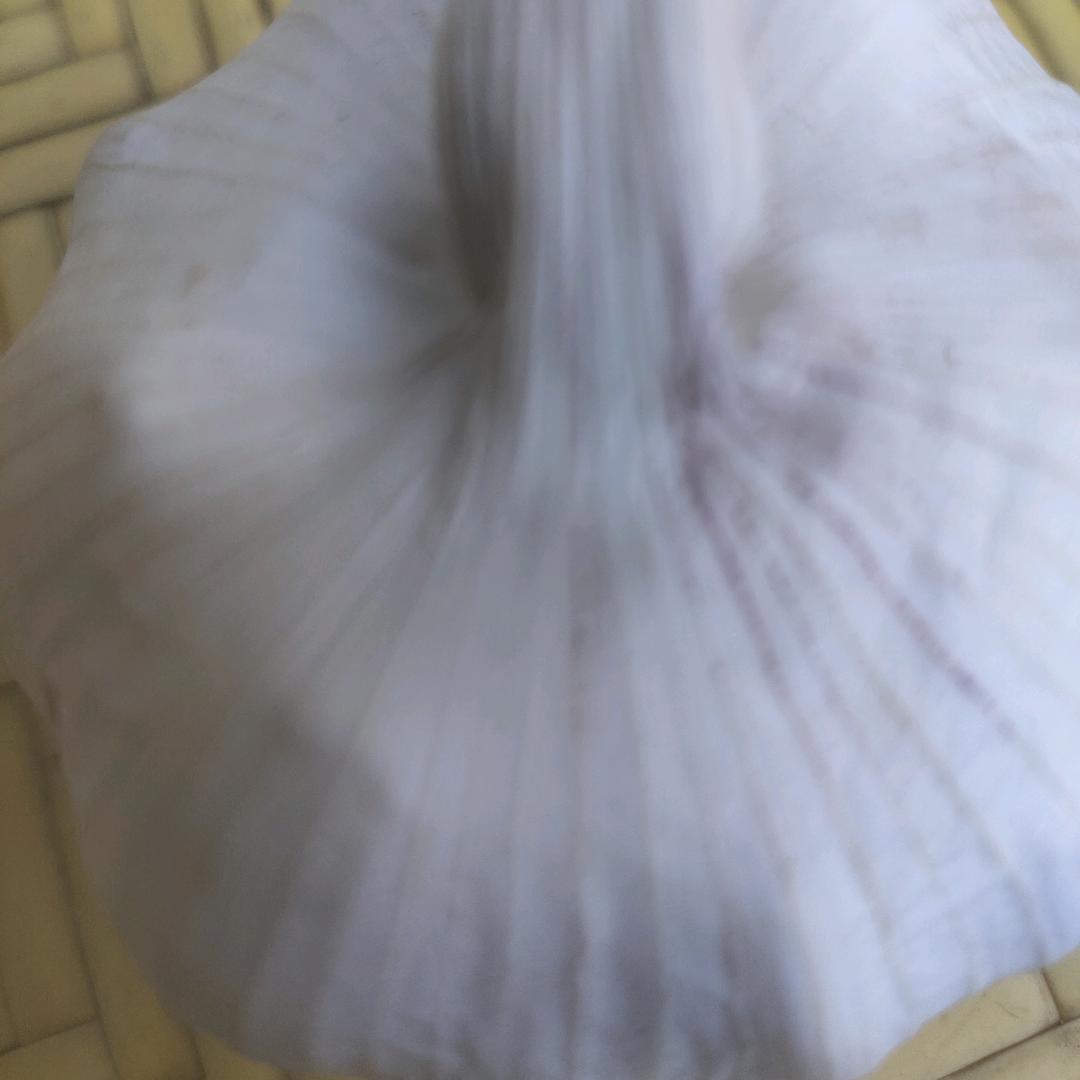 金杞大蒜，代收，代售，代发，带储存