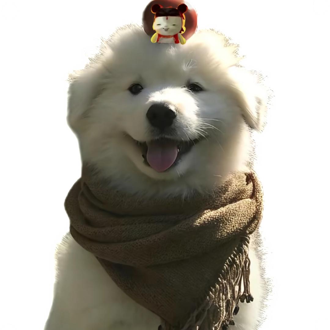 水枪装尿滋谁谁叫