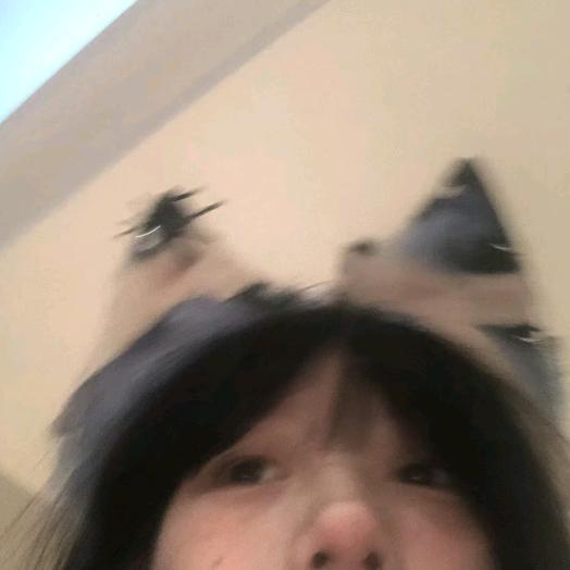 爆炒🐟头