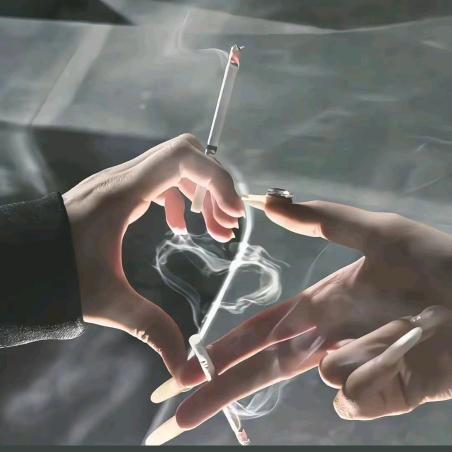 叙利亚悍匪