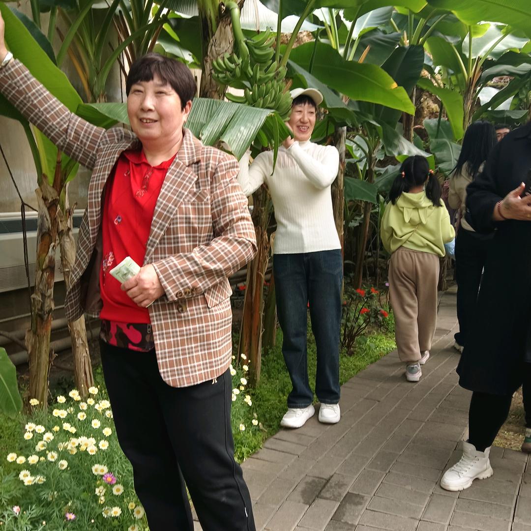缘梦