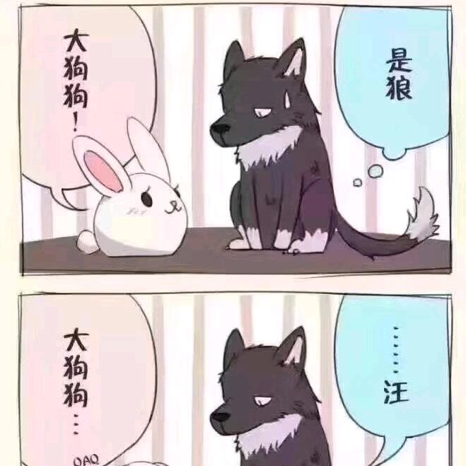 小月月