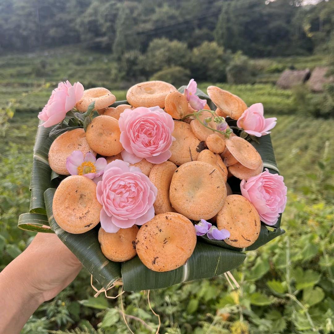 🌸开开心心🌸