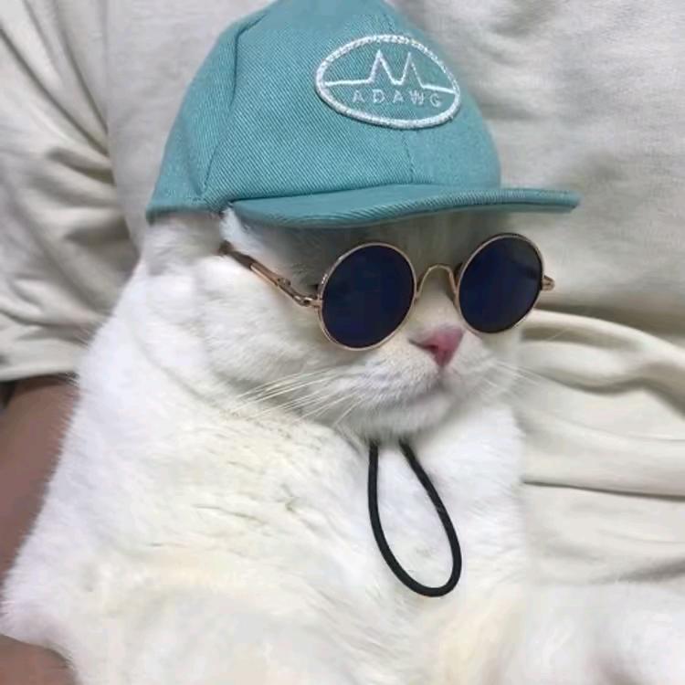 可爱