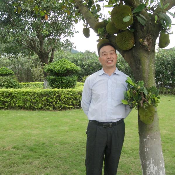 仙果仁
