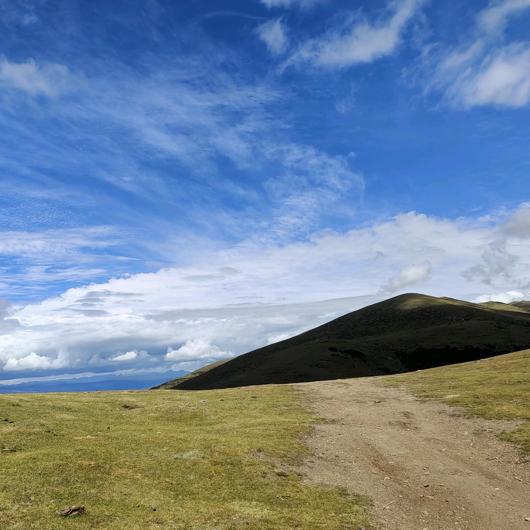 我在人间凑数的日子