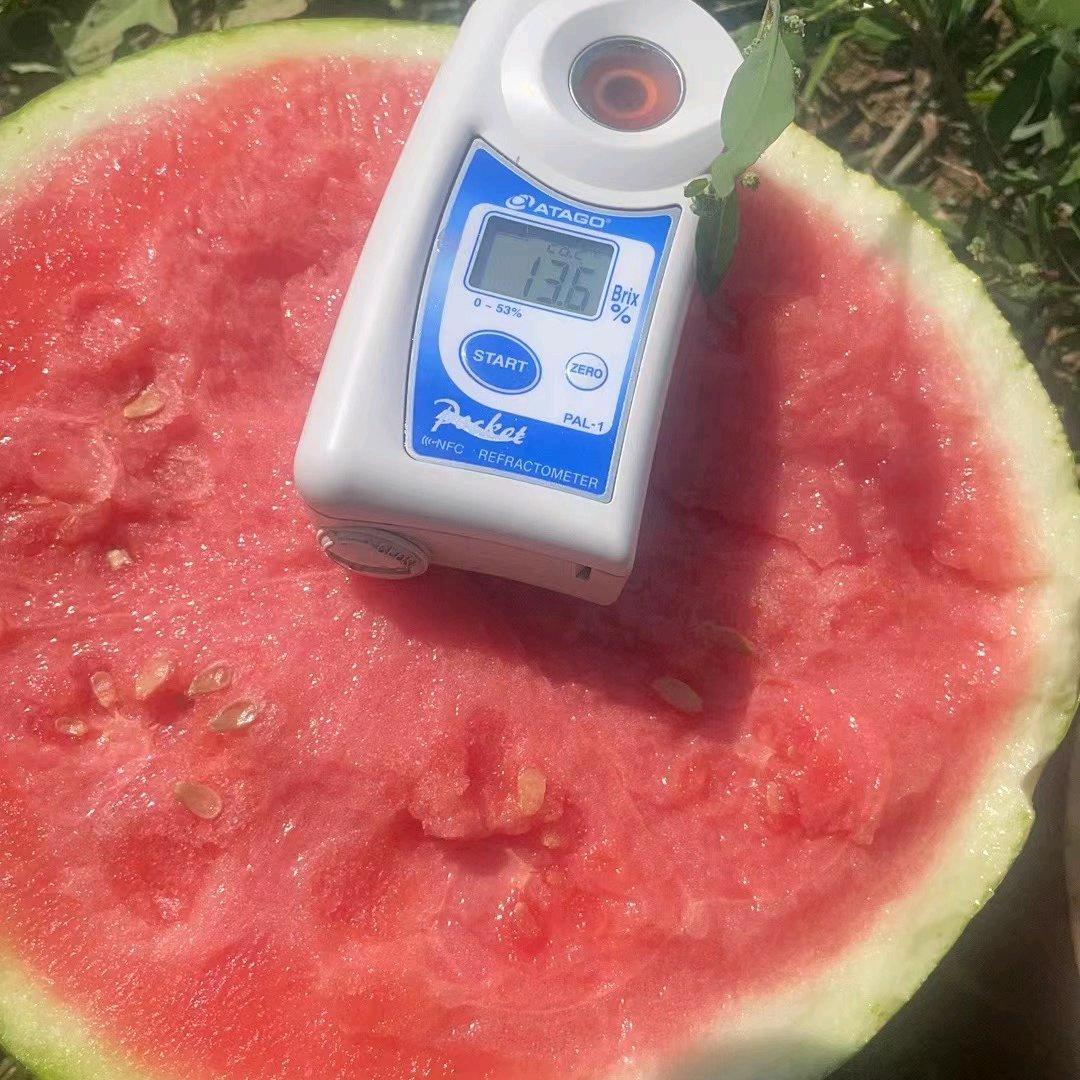 唐飞果蔬团队!🍉产地直发!