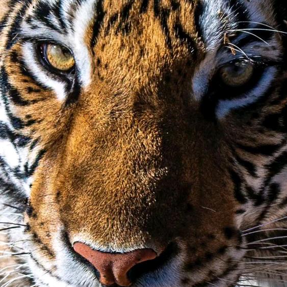 房屋检测消防检测