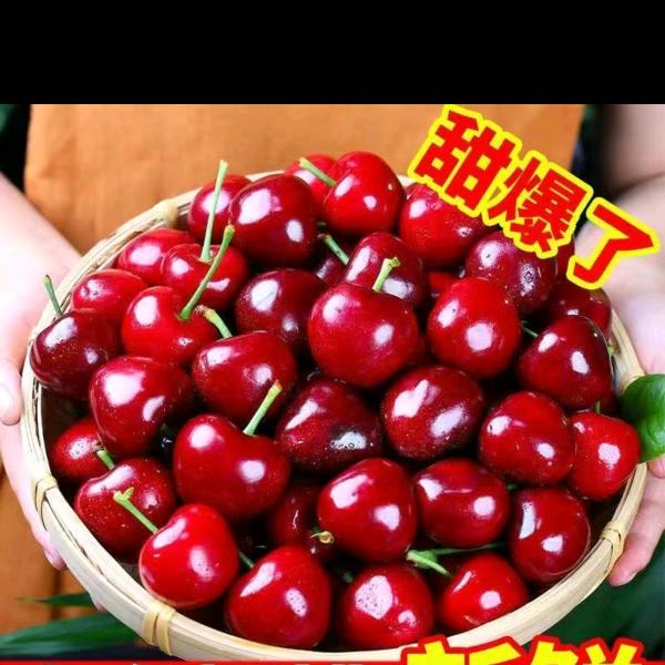 樱桃🍒🍒🍒