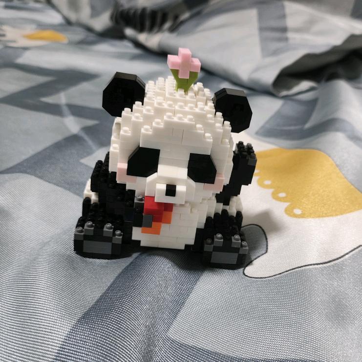 。。。。。，，，，，