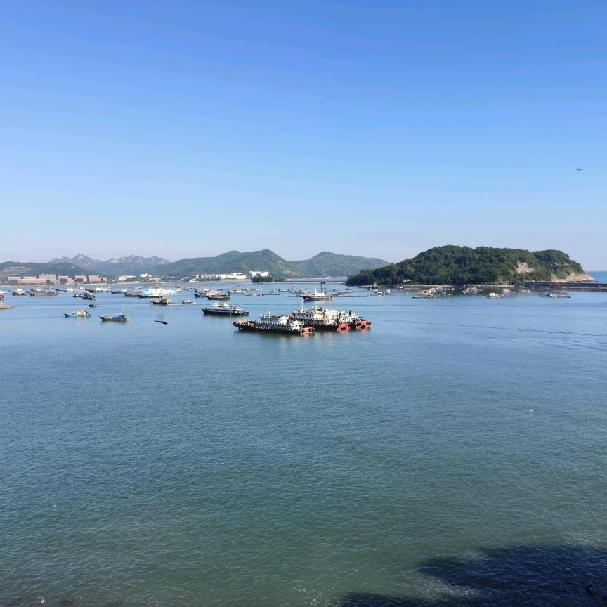 木子观影