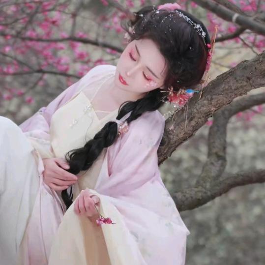 林七七💃🏻