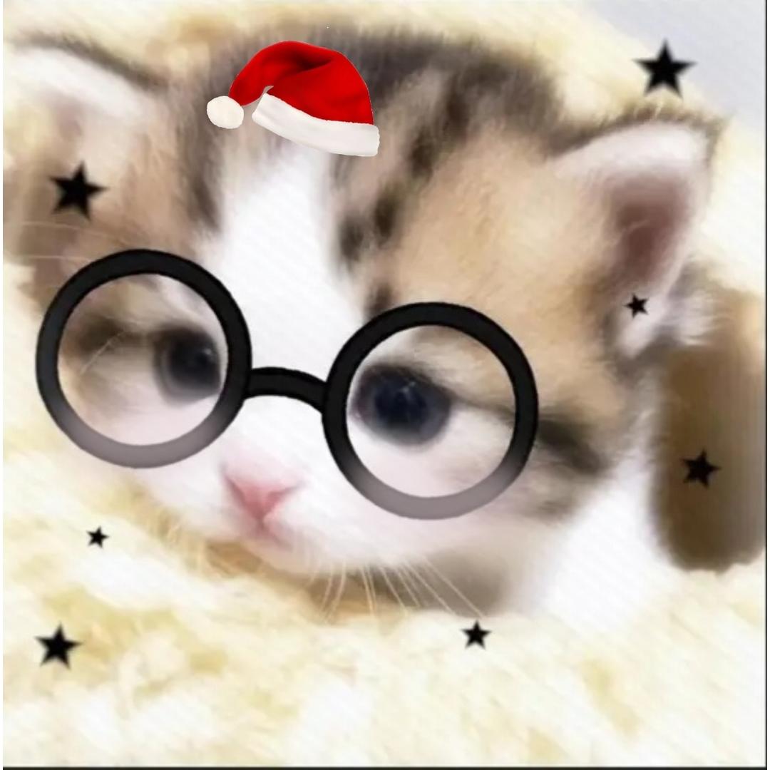 ⁺✞ʚAutism ɞ✟₊