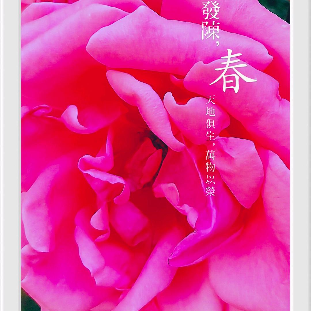 王浩宇