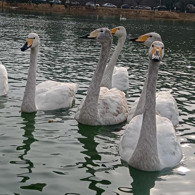 漂流哥🙏🙏🙏