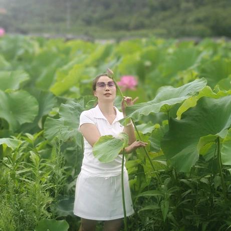 熊姐大锅卤