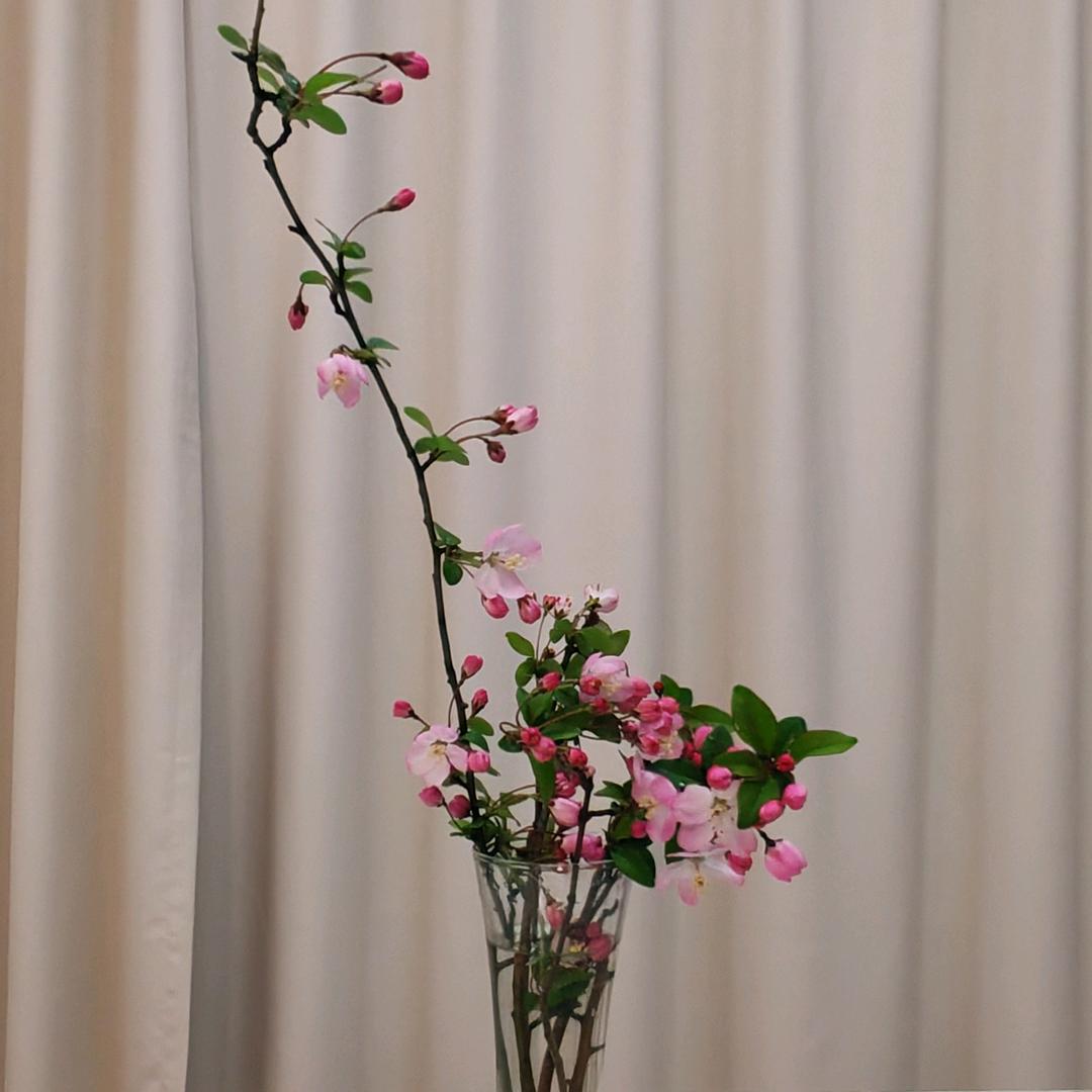 艺蕾童画艺术中心