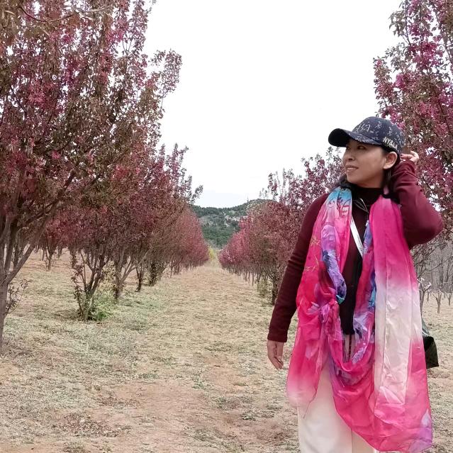 ༄ᐝ烟火清欢᭨ᮩ໊ഒᩚ