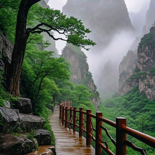 深圳市南山区坤众希培训部