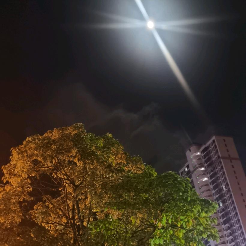 人生若只如初见