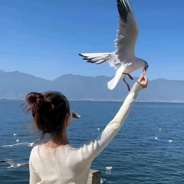 小丫头