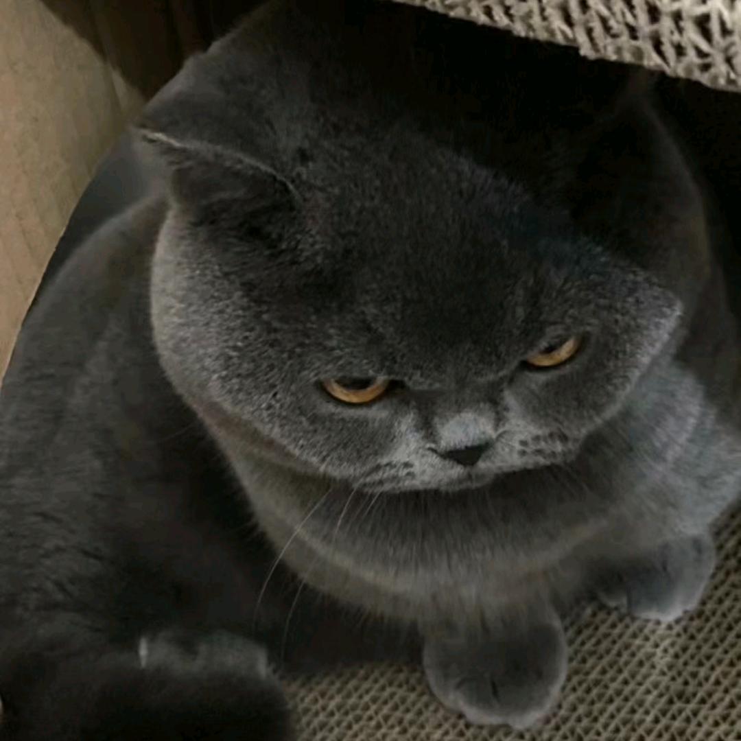 南波旺