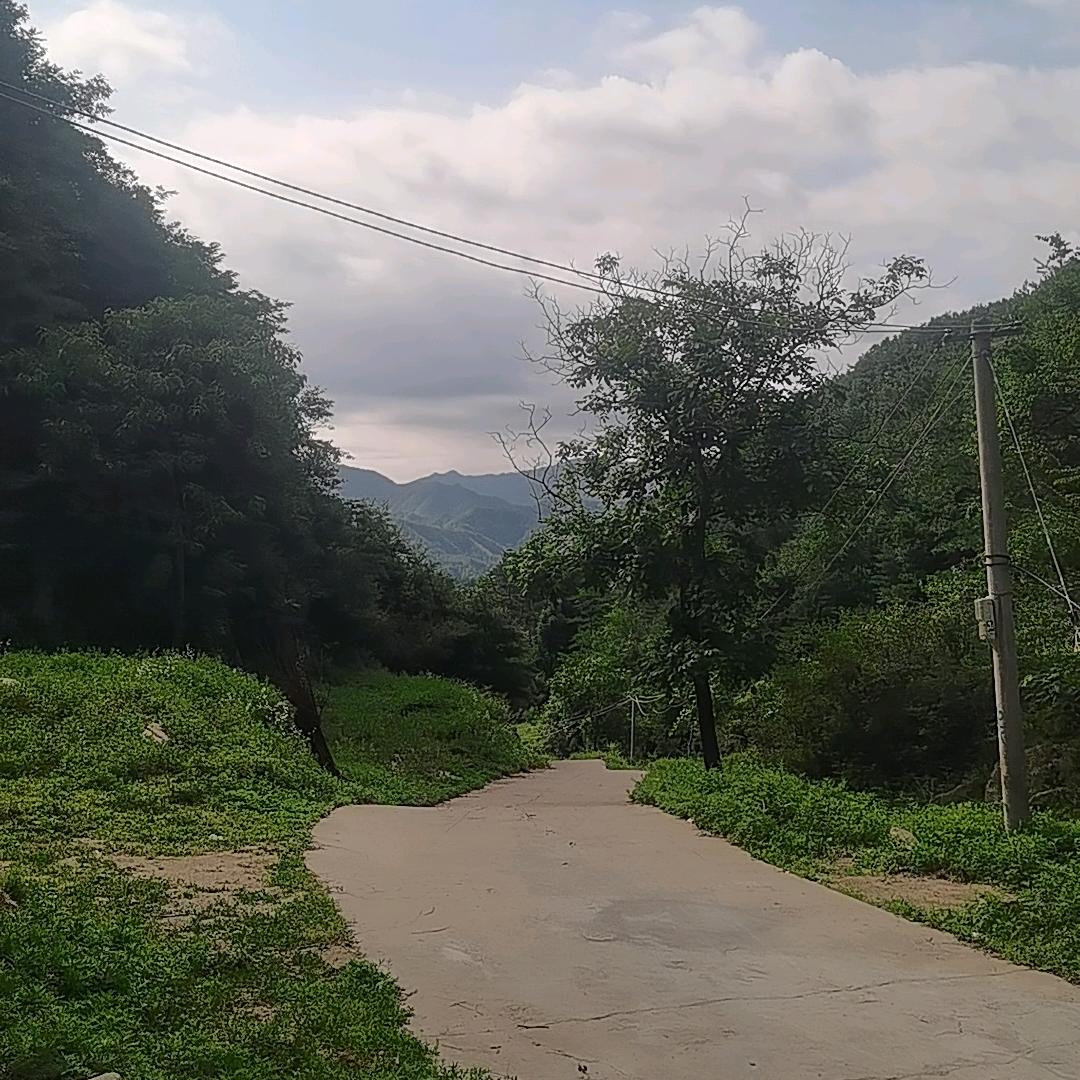 终南山静舍小院