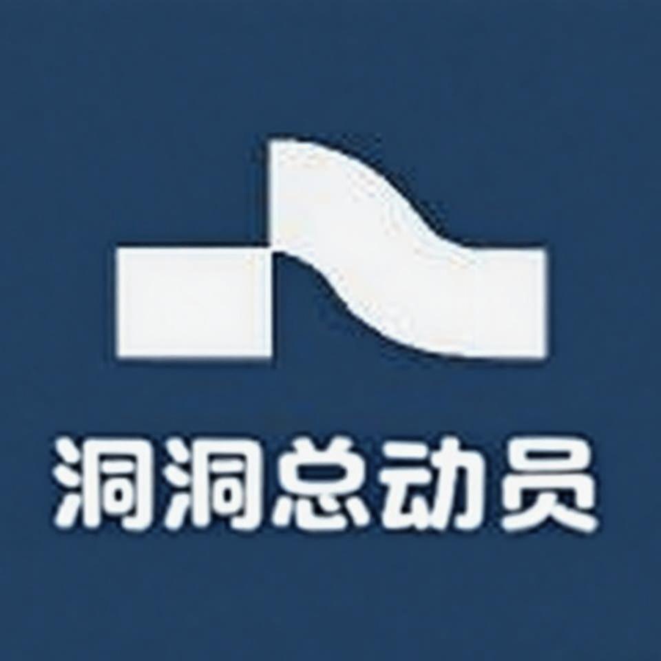 洞洞总动员