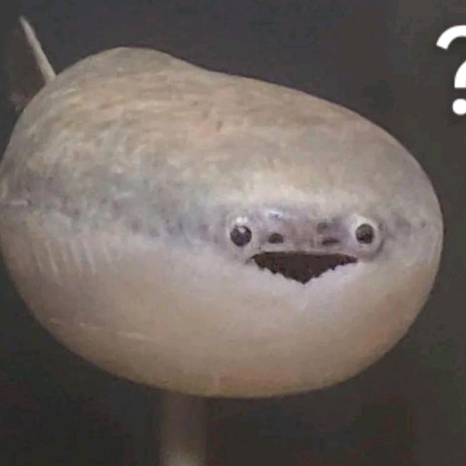 嚎哭深渊厨师长