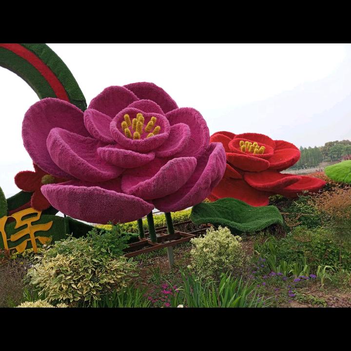 舒心70886