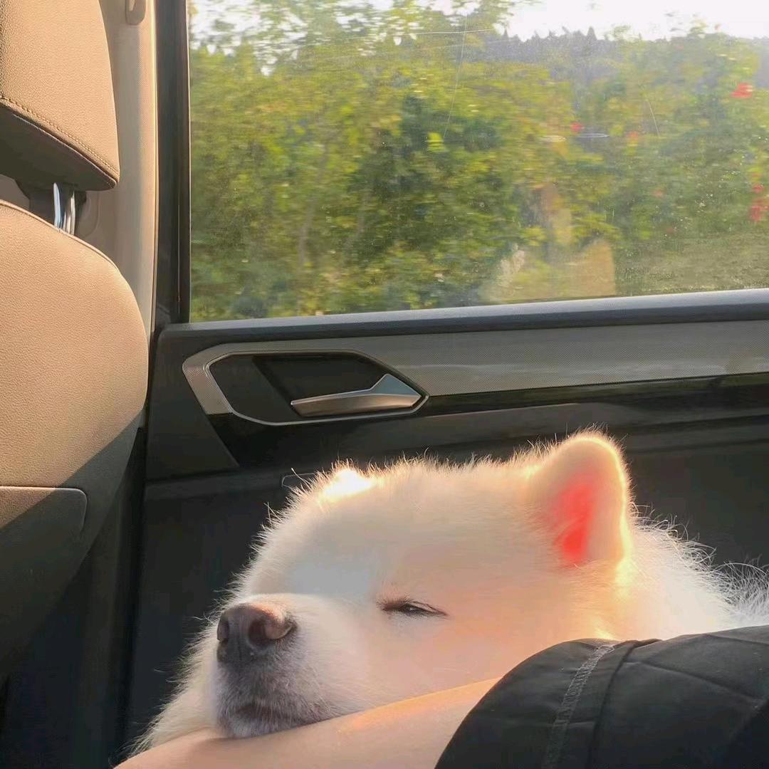 一根草