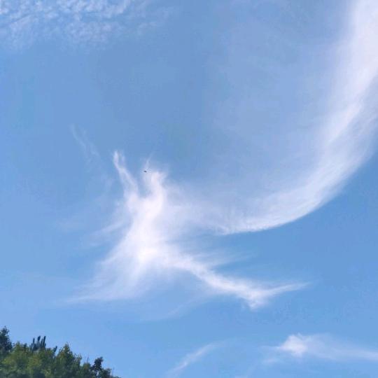 祥云飞舞