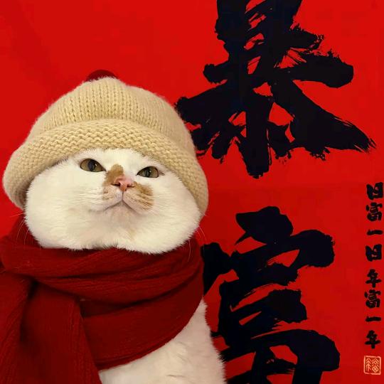 瑶瑶收纳推荐