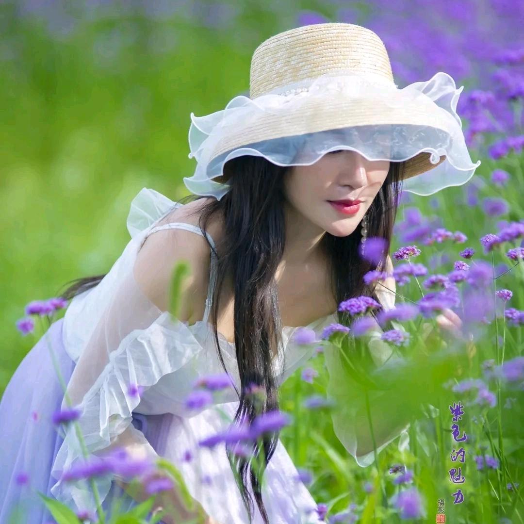 丁香