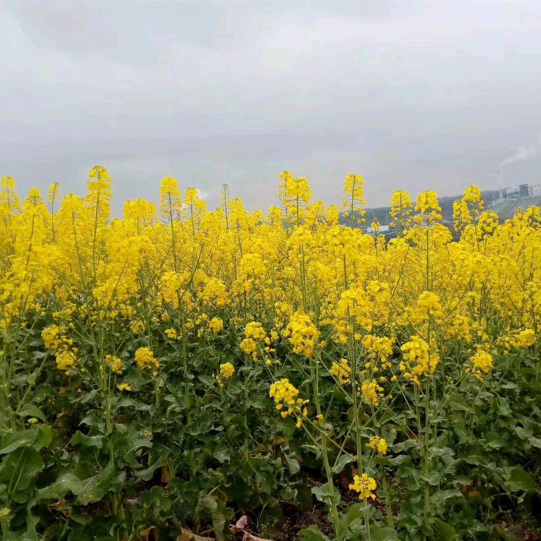 幸福，