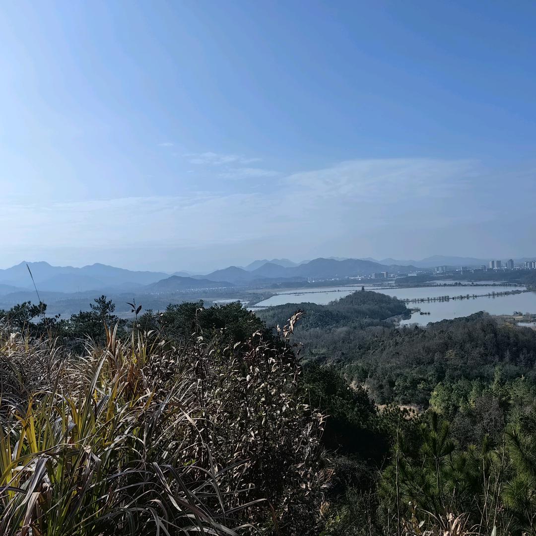 王大哥与小娇妻🫅