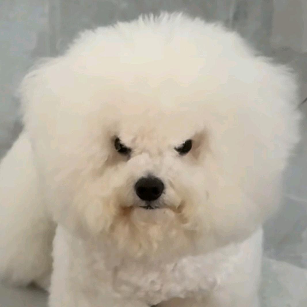 不服