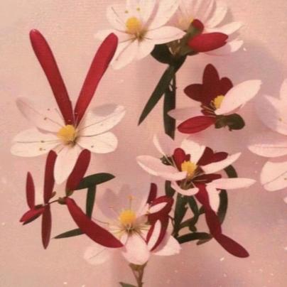 别说违心话