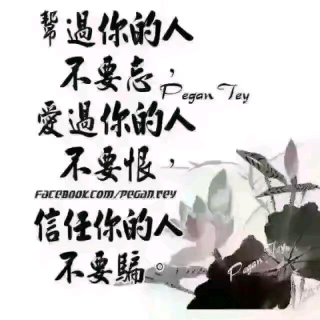 大漠恐龙