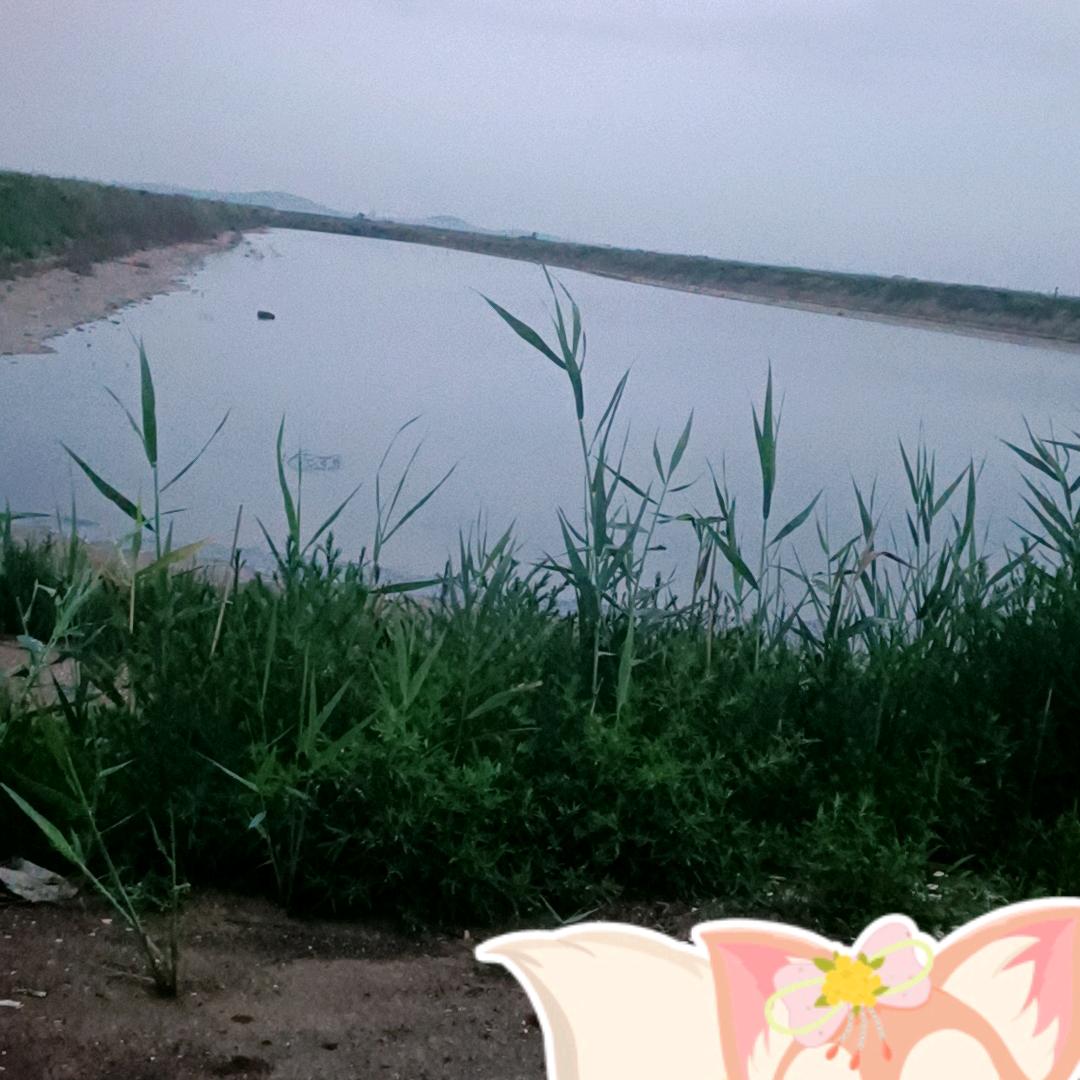 风清月明