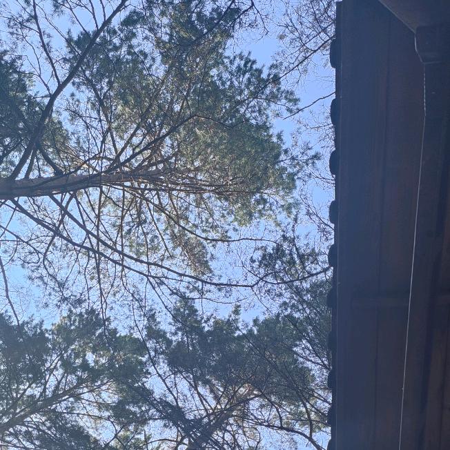 李李  ·NAIL美学（美甲美睫集合店）